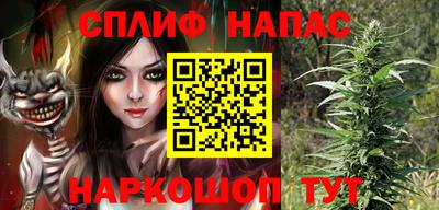 МДПВ Тара