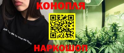 прущие грибы Тверь