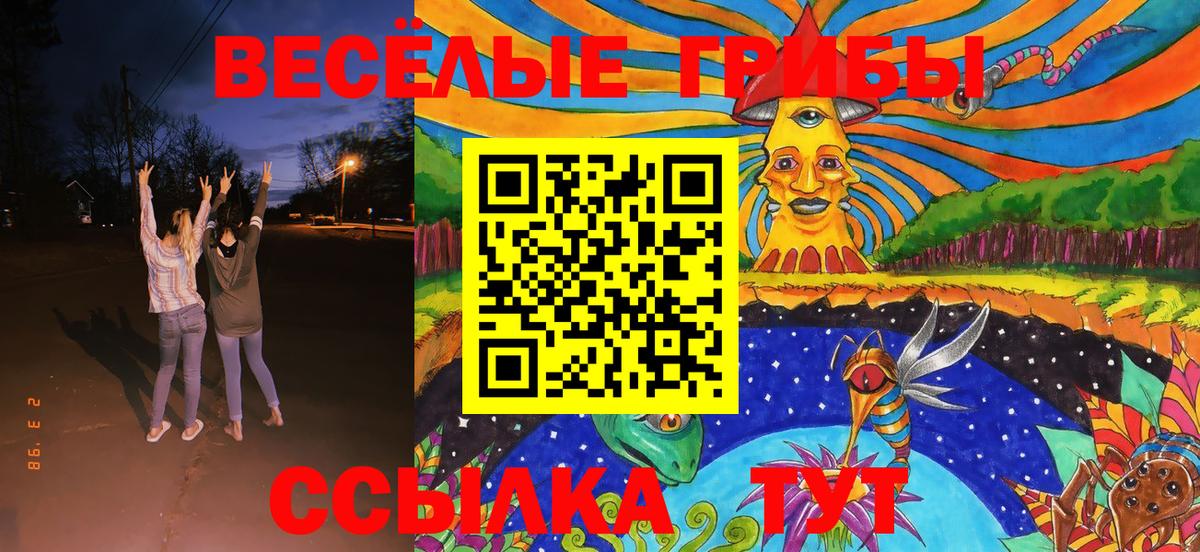 купить  сайты  Галлюциногенные грибы прущие грибы  Вход с VPN  Амурск 