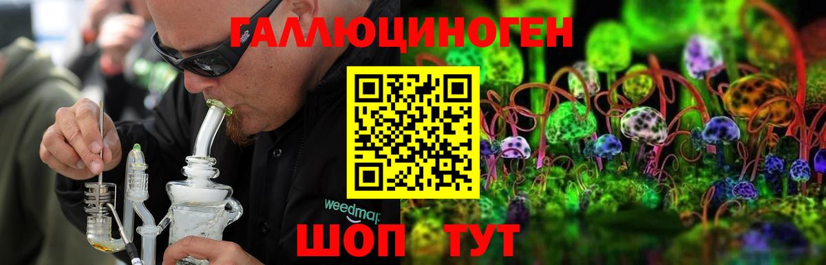 Псилоцибиновые грибы MAGIC MUSHROOMS Амурск